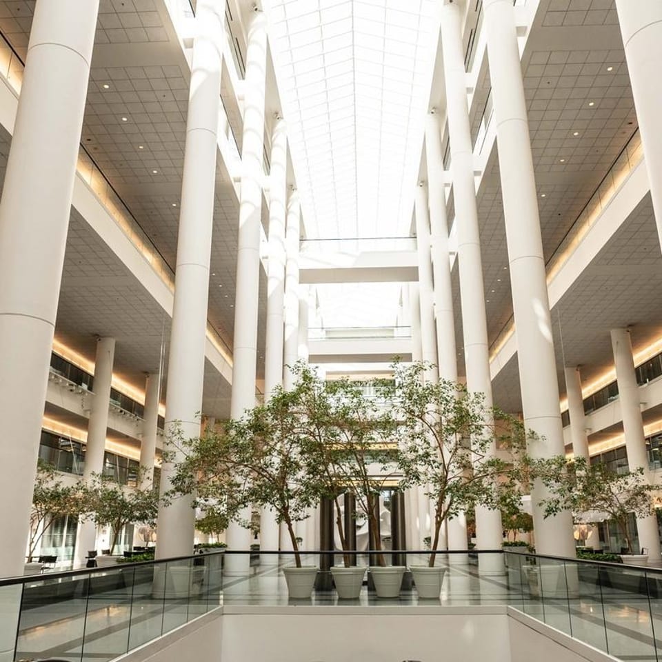 A bright, modern atrium with tall white columns, a glass ceiling, and potted trees on a balcony.