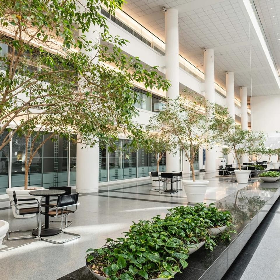 Spacious, modern interior with tall trees in planters, small tables, and lush green plants.